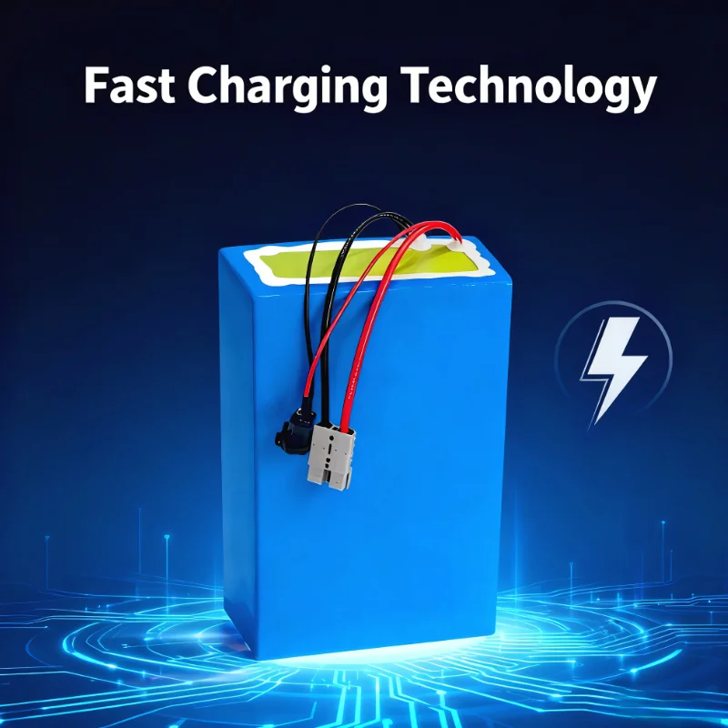 Batería de iones de litio BMS  - 72V 40Ah Lifepo4 Battery Pack reseña y precio