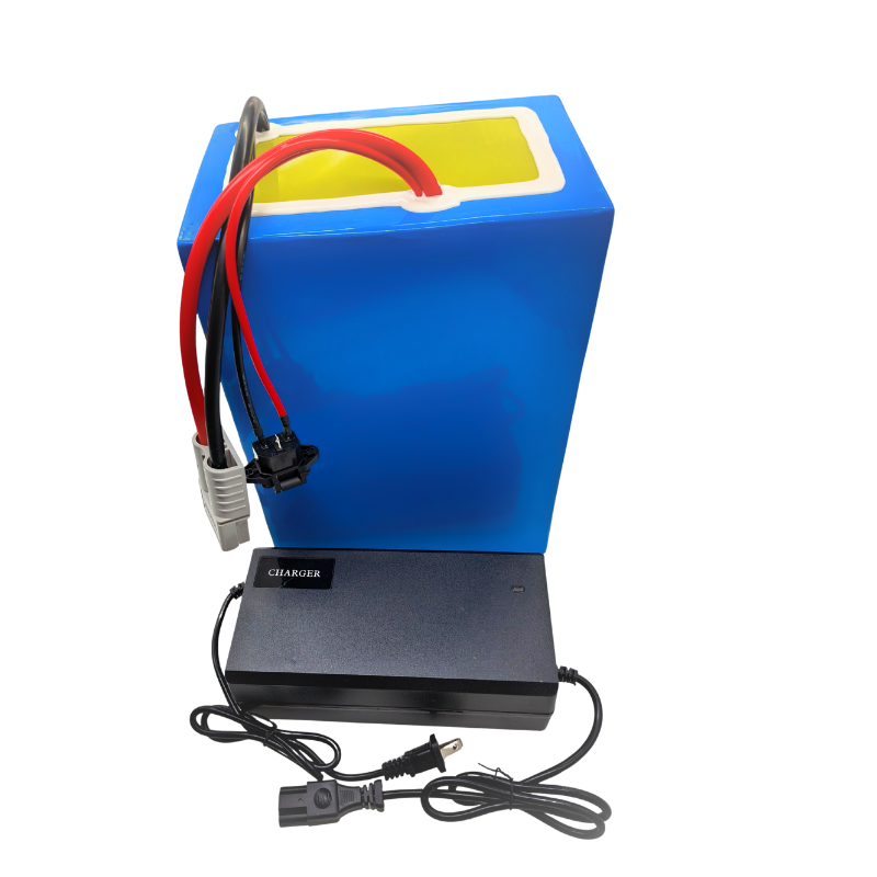 Batería de polímero de litio B - 72V 40Ah Lifepo4 Battery Pack reseña y precio